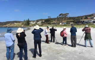 A group of citizen scientist on a beach looking for birds. Courtesy of Renee Mead.
